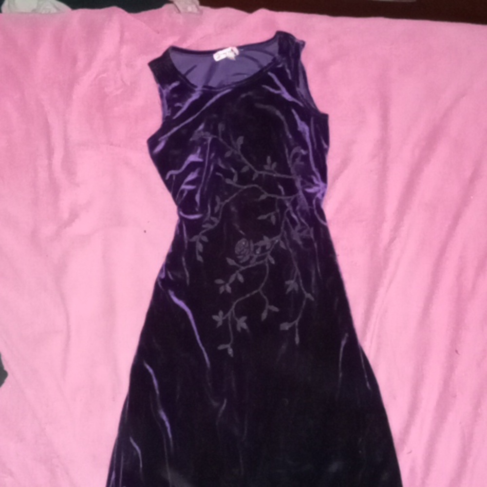 Vintage my Michelle velvet dress!!